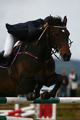 Image showing Horse jumping