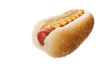 Image showing Large hot dog