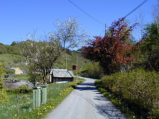 Image showing Path in Norway