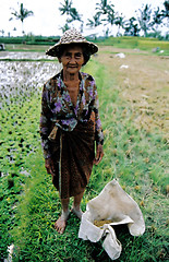 Image showing Working in the fields