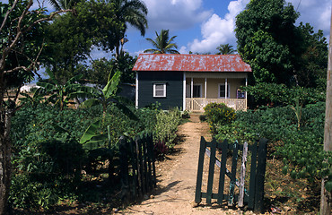 Image showing Traditional house Dominican republic