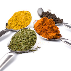 Image showing ground spices