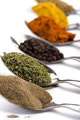 Image showing various ground spices