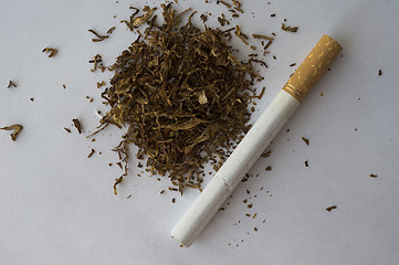Image showing Cigarette and tobacco