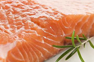 Image showing Salmon