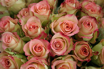 Image showing Flower Market in Sweden