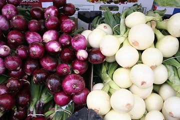 Image showing Onions in Market stall