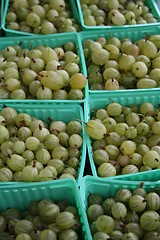 Image showing Goose-berries at Market place