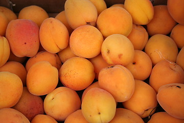 Image showing Apricots at Market place