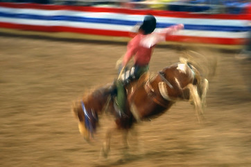 Image showing Rodeo