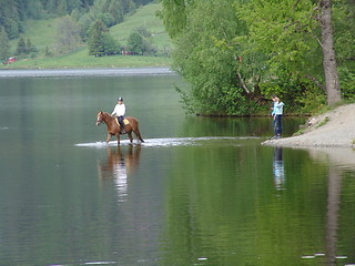 Image showing By the lake