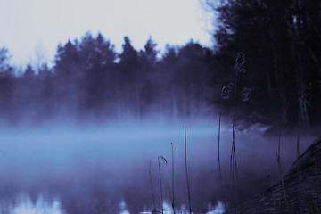 Image showing Misty morning