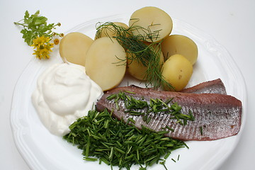 Image showing Swedish Midsummer dish