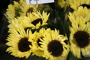 Image showing Sunflower for sale at Market place