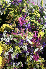 Image showing Flower Market in Sweden