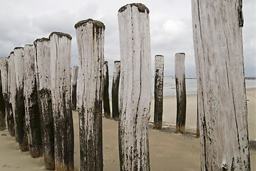 Image showing Groynes on dutch beach