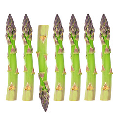 Image showing Fresh Asparagus