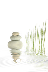 Image showing Pebbles and Bamboo Grass 