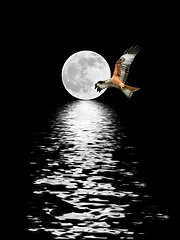 Image showing Eagle Flyng at Full Moon