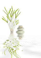 Image showing Zen Bamboo and Pebble Beauty