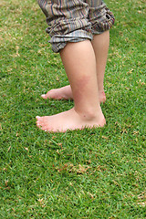 Image showing Bare feet