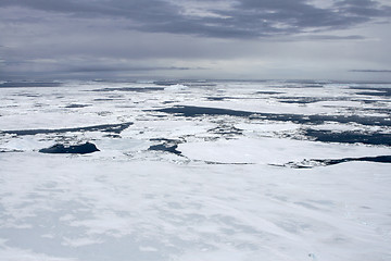 Image showing Sea ice on Antarctica