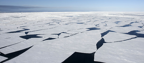 Image showing Sea ice on Antarctica