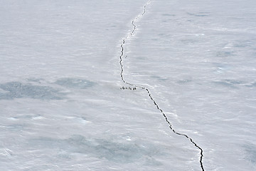 Image showing Sea ice on Antarctica