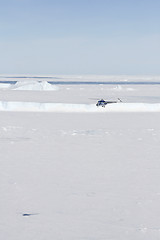 Image showing Helicopter flying