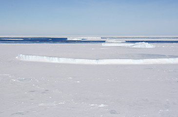 Image showing Sea ice on Antarctica