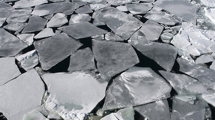 Image showing Sea ice on Antarctica