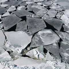 Image showing Sea ice on Antarctica