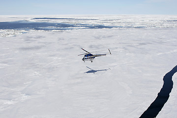 Image showing Helicopter flying