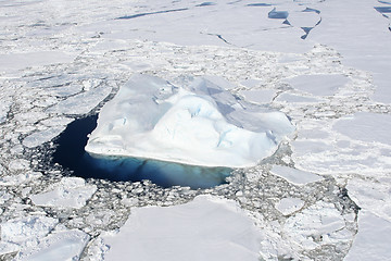 Image showing Sea ice on Antarctica