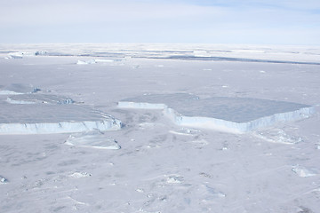 Image showing Sea ice on Antarctica