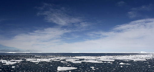 Image showing Icebergs on Antarctica