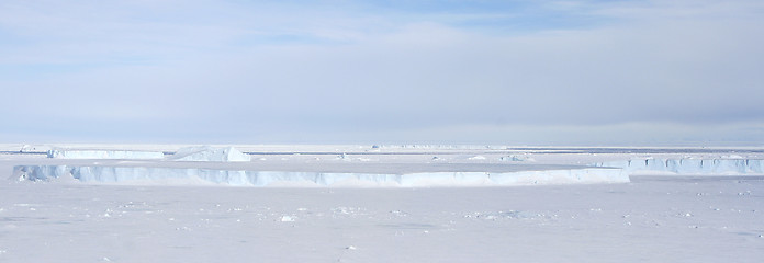 Image showing Sea ice on Antarctica