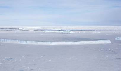 Image showing Sea ice on Antarctica