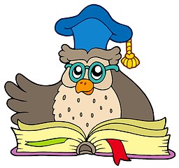 Image showing Cartoon owl teacher with book