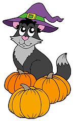Image showing Cat with hat and pumpkins