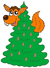 Image showing Squirrel on coniferous tree