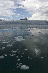 Image showing Front of a glacier