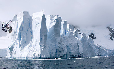 Image showing Glacier in Paradise Bay