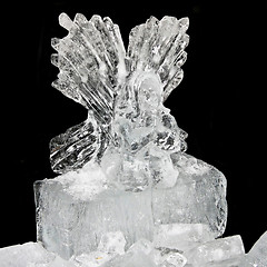 Image showing Angel in ice