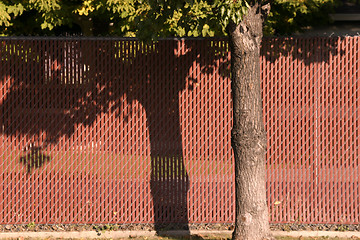 Image showing Red Fence behind a Tree