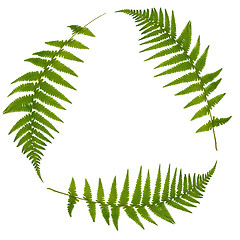 Image showing Enviromental Green Leaf Symbol