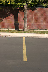 Image showing Tree in a Parking Lot