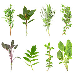 Image showing Fresh Herbs