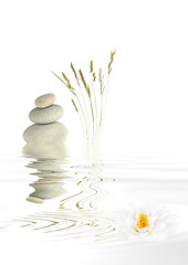 Image showing Zen Pebbles, Grasses and Lotus Lily