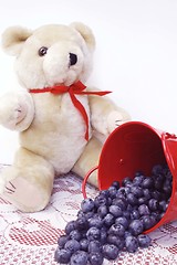 Image showing Blueberries and teddy bear